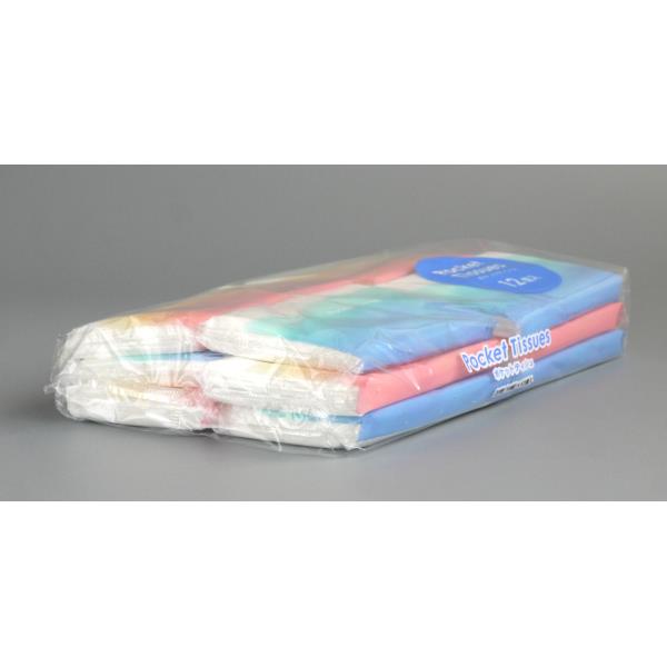 ポケットティシュ 20枚(10組)×12個入 (100円ショップ 100円均一 100均一 100均)