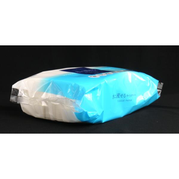 水に流せるティッシュペーパー ソフトパック 400枚(200組)入 (100円ショップ 100円均一 100均一 100均)