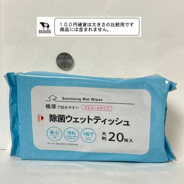 除菌ウェットティッシュ アルコールタイプ 20枚入 (100円ショップ 100円均一 100均一 100均)