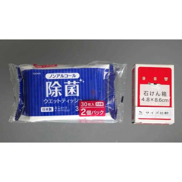 ノンアルコール除菌ミニウェットティッシュ 30枚×2個入 (100円ショップ 100円均一 100均一 100均)