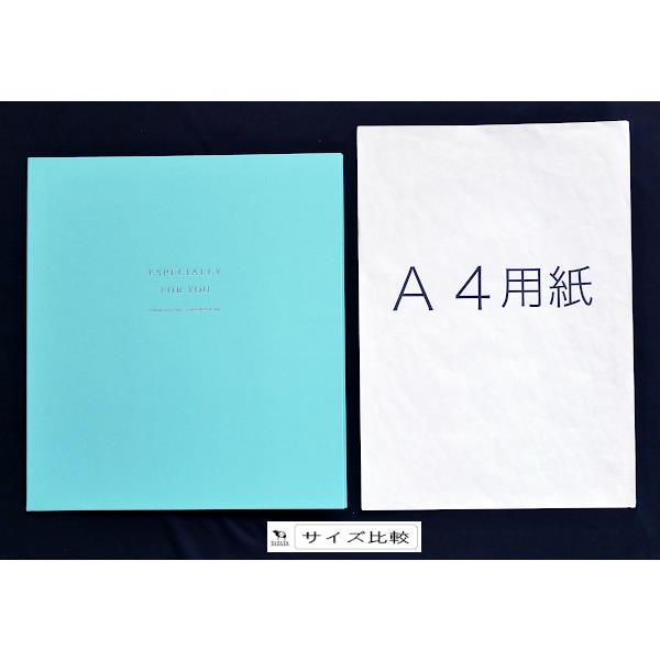 2つ折り色紙 サンクス&ラブ 27.2×48.9cm ［色指定不可］ (100円ショップ 100円均一 100均一 100均)