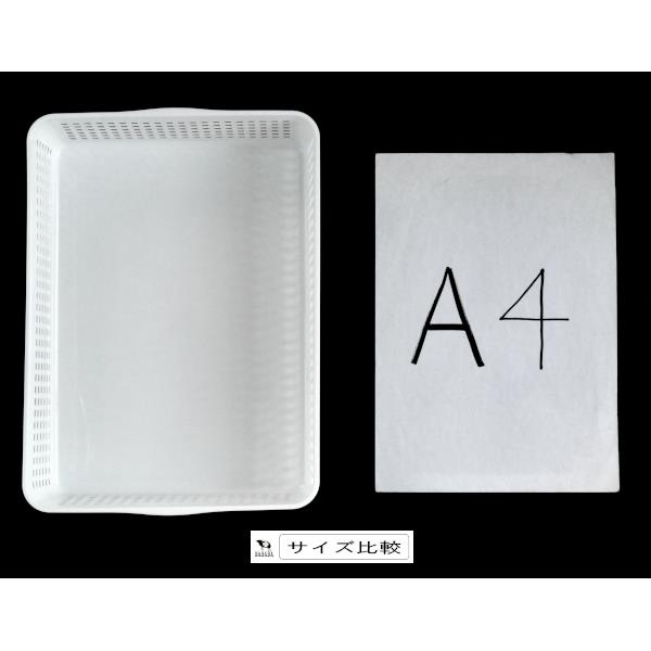 ネームバスケット A4サイズ収納可 ホワイト 24.4×33.2×高さ8.7cm