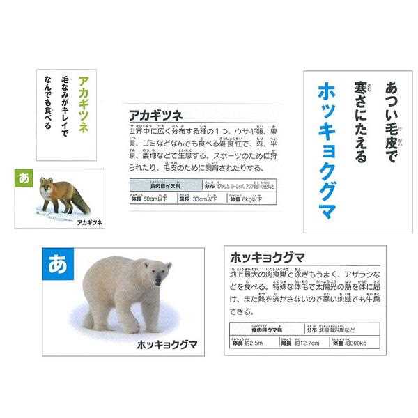 どうぶついきもの図鑑かるた 絵札・読み札各47枚 白札6枚入 解説書付 陸か海 ［種類指定不可］ (100円ショップ 100円均一 100均一 100均)