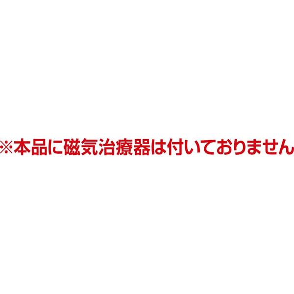 磁気貼り替えテープ 6.5mm 36枚入 (100円ショップ 100円均一 100均一 100均)