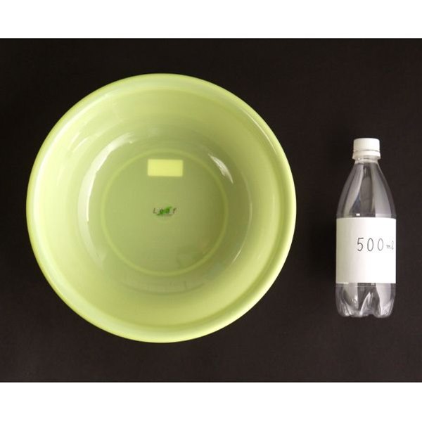 洗面器 4．2L グリーン リーフ (100円ショップ 100円均一 100均一 100均)