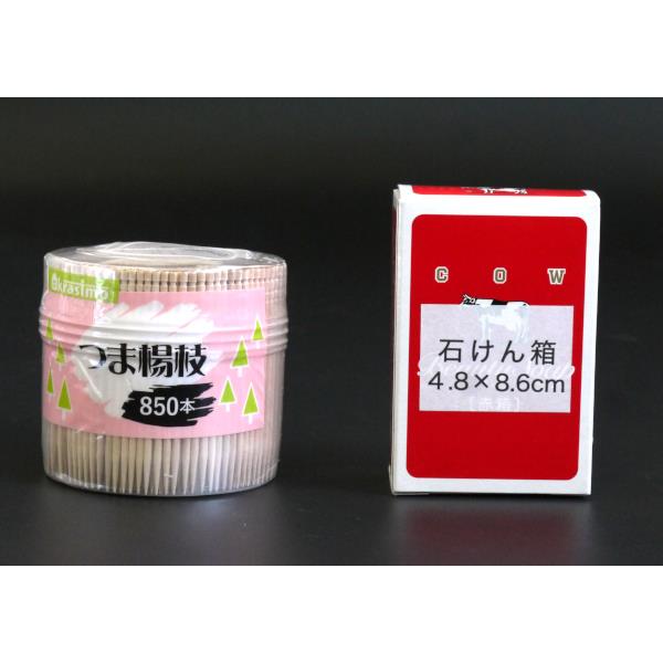 つま楊枝 850本入 (100円ショップ 100円均一 100均一 100均)