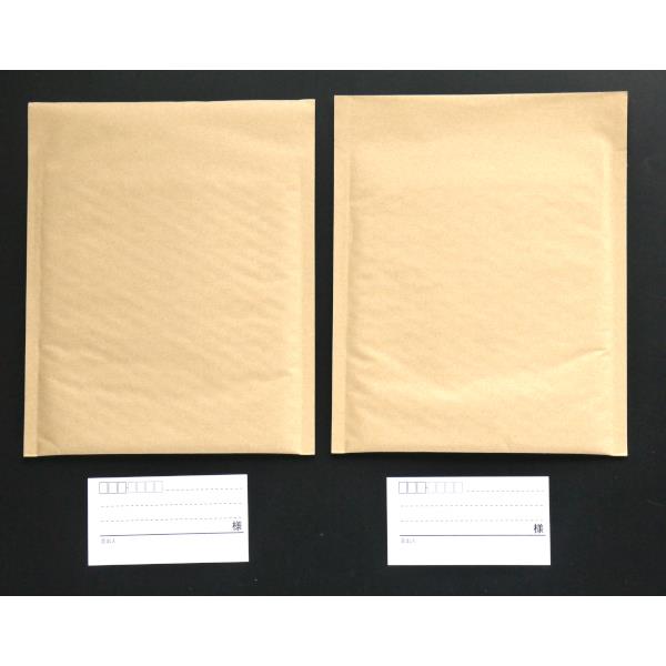 クッション封筒 CD・装飾品 20×20.5cm 2枚入 (100円ショップ 100円均一 100均一 100均)