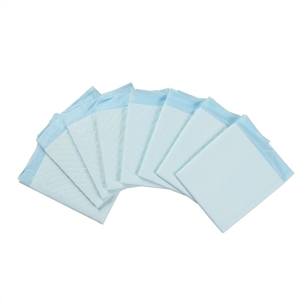 ペットシーツ レギュラーサイズ 45×33cm 8枚入 (100円ショップ 100円均一 100均一 100均)