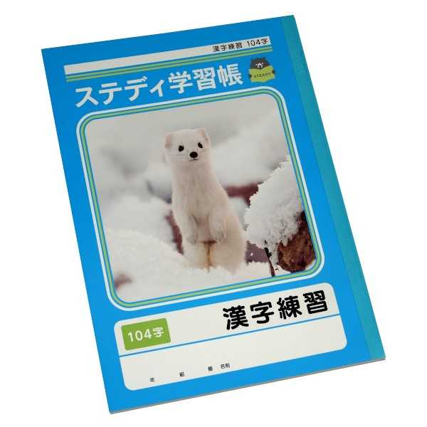 ステディ学習帳 漢字練習 104字 17mm×15mmマス 13×8 セミB5 40枚 (100円ショップ 100円均一 100均一 100均)