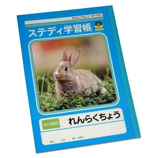 ステディ学習帳 れんらくちょう 縦10行 14mm縦罫 セミB5 40枚 (100円ショップ 100円均一 100均一 100均)