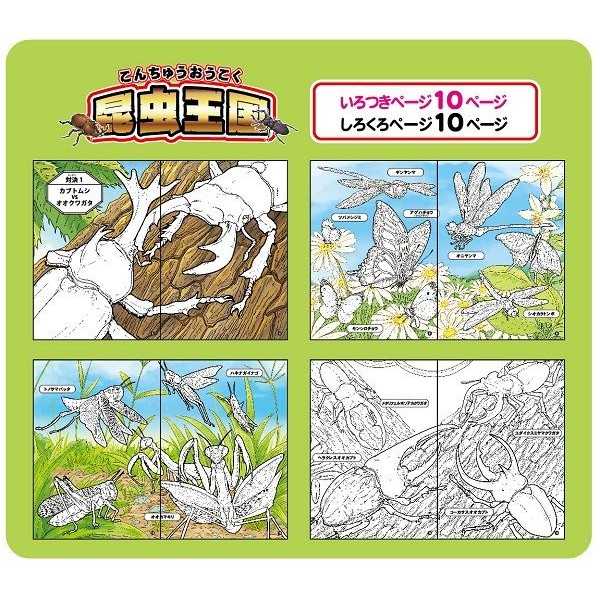 100円雑貨&日用品卸-BABABAのいろつきぬりえ 昆虫王国 20ページ (100円ショップ 100円均一 100均一 100均)｜アングル2