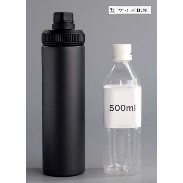 スリムボトル ウェルフ ブラック 保冷専用 容量650ml