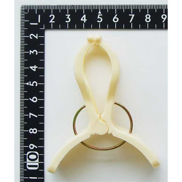 Citrus Colors ワイド竿キャッチピンチ 6個入 (100円ショップ 100円均一 100均一 100均)