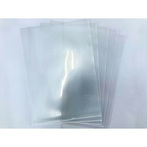 A4クリアホルダー 10枚入 (100円ショップ 100円均一 100均一 100均)