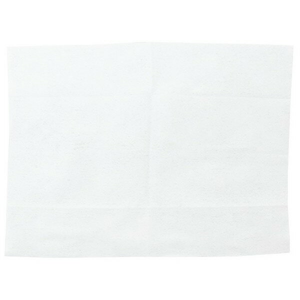 ノンアルコール除菌ウェットティッシュ 20枚×2個入 (100円ショップ 100円均一 100均一 100均)