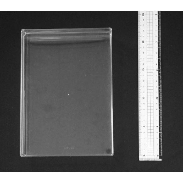 トレー 21．7×15．5×高さ4．3cm クリアー (100円ショップ 100円均一 100均一 100均)