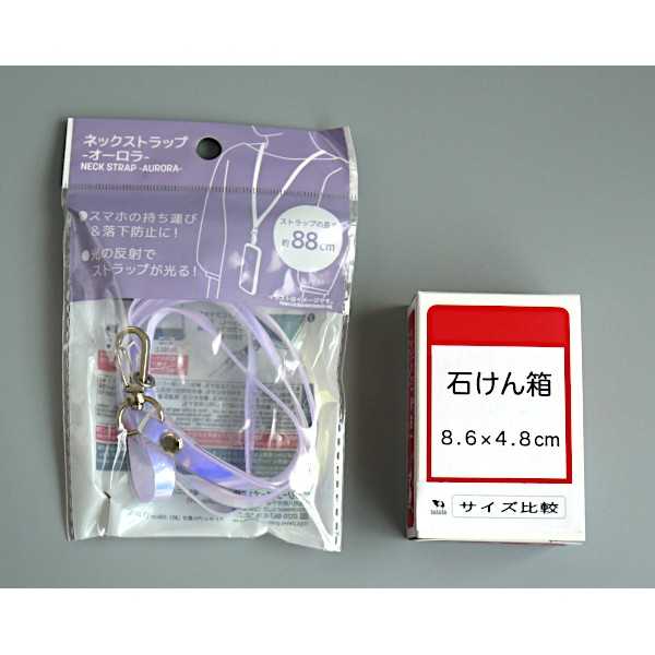 �ͥå����ȥ�å� �������� �ο������Բġ� (100�ߥ���å� 100�߶Ѱ� 100�Ѱ� 100��)