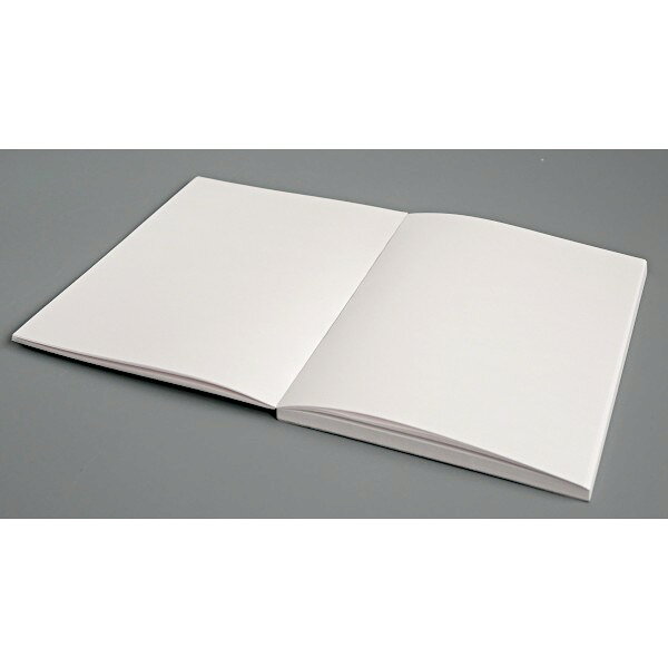 セミB6スケッチブック 80枚 (100円ショップ 100円均一 100均一 100均)