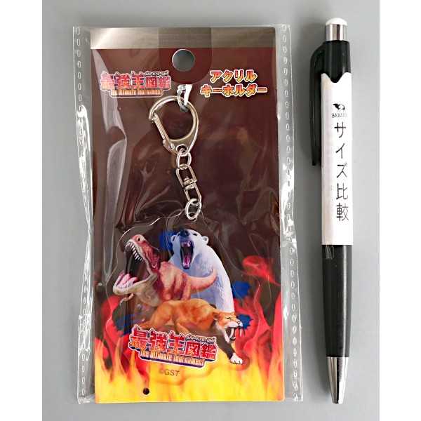 最強王図鑑 アクリルキーホルダー ［種類指定不可］ (100円ショップ 100円均一 100均一 100均)