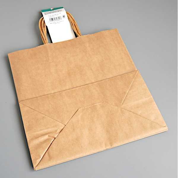 クラフト紙バッグ L(28×28×マチ15cm) 3枚入 (100円ショップ 100円均一 100均一 100均)