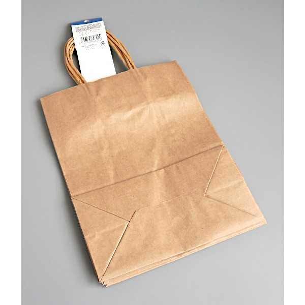 クラフト紙バッグ M(21×27×マチ11cm) 4枚入 (100円ショップ 100円均一 100均一 100均)