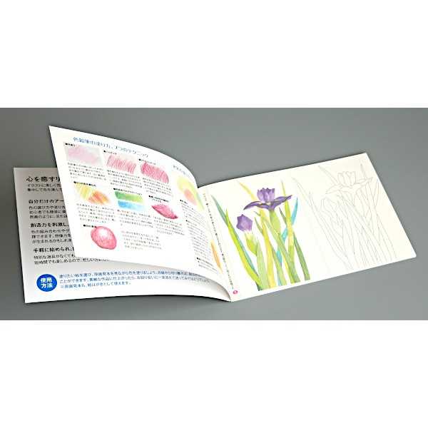 大人のぬりえ きれいな花々 (100円ショップ 100円均一 100均一 100均)