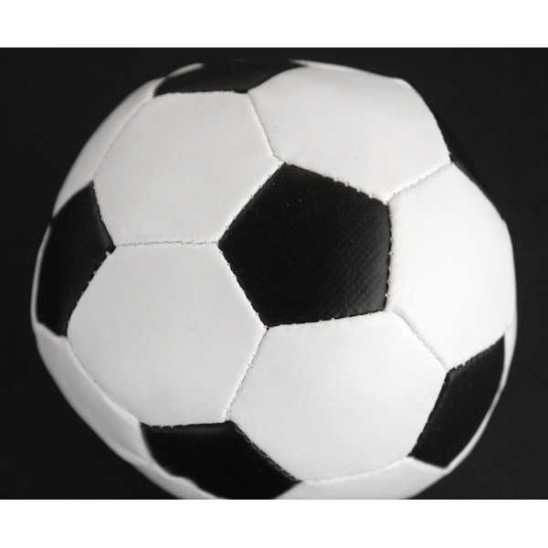 ソフトサッカーボール 9.8cm (100円ショップ 100円均一 100均一 100均)