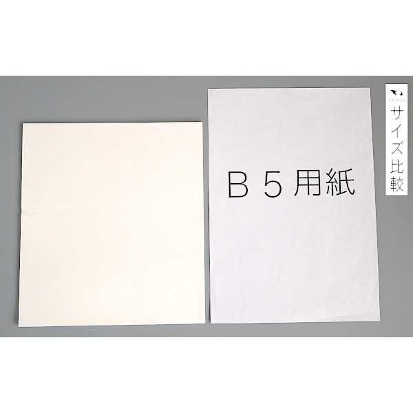 天ぷら敷紙 45枚入 (100円ショップ 100円均一 100均一 100均)