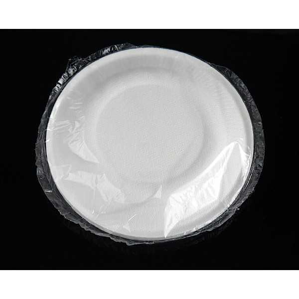 リードエコ プレート 18cm 10枚入 (100円ショップ 100円均一 100均一 100均)