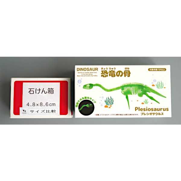 蓄光恐竜の骨 2 ［形指定不可］ (100円ショップ 100円均一 100均一 100均)