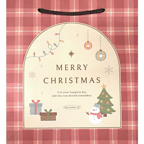 ペーパーバッグ カントリークリスマス柄 24×22×マチ10cm ［色柄指定不可］ (100円ショップ 100円均一 100均一 100均)