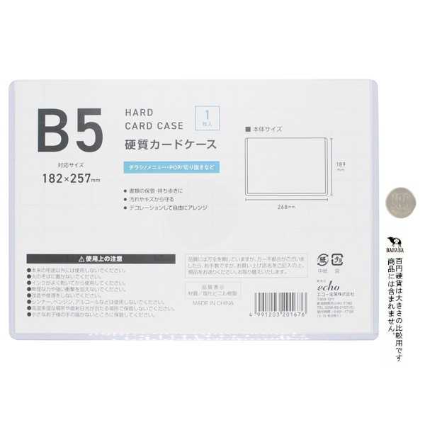 B5硬質カードケース (100円ショップ 100円均一 100均一 100均)