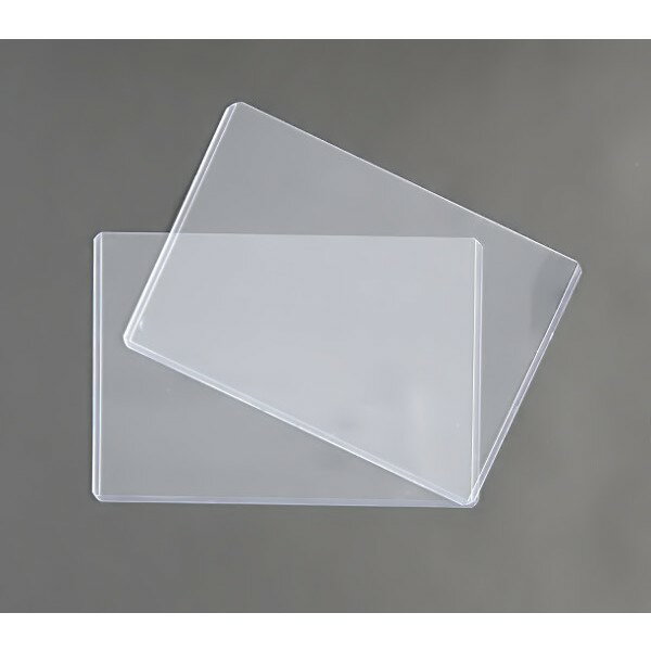 ハードカードケース B6サイズ収納可 19.5×13.6cm 2枚入 (100円ショップ 100円均一 100均一 100均)