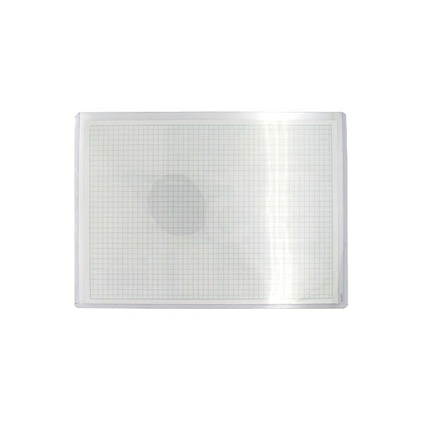 硬質カードケース B5サイズ対応 19.1×27.2cm (100円ショップ 100円均一 100均一 100均)