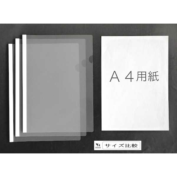 レールファイル A4サイズ対応 クリア 30.5×22cm 3枚入 (100円ショップ 100円均一 1...