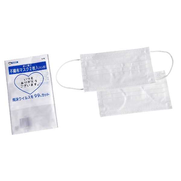 粗品用不織布マスク 2枚入 ※訳あり品