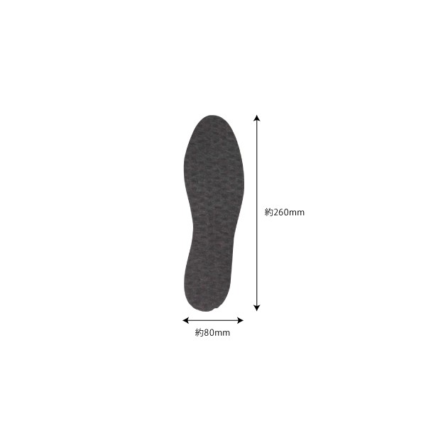 消臭レーヨンインソール 22.0~26.0cm (100円ショップ 100円均一 100均一 100均) 2