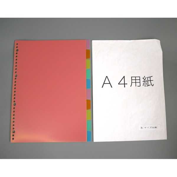 PPカラーインデックス A4サイズ 30穴 インデックス10枚入 (100円ショップ 100円均一 100均一 100均)
