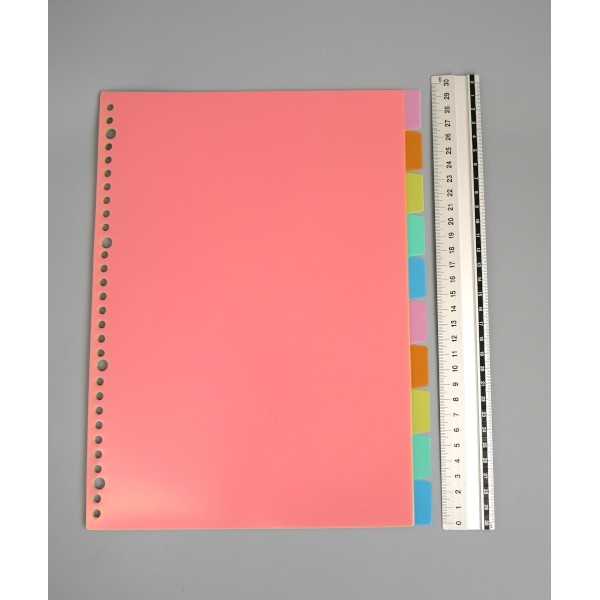 PPカラーインデックス A4サイズ 30穴 インデックス10枚入 (100円ショップ 100円均一 100均一 100均)