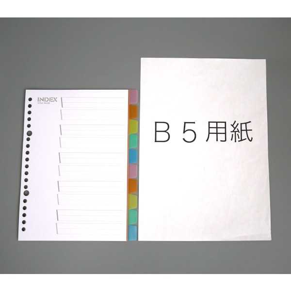 A5 PPカラーインデックス インデックス10山入 (100円ショップ 100円均一 100均一 100均) 3