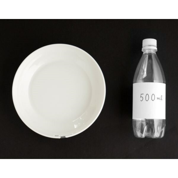 ディッシュプレート プラスチック製 直径20．1×高さ4cm ホワイト フォリオ (100円ショップ 100円均一 100均一 100均)