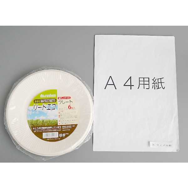 リードエコ プレート 直径21cm 6枚入 (100円ショップ 100円均一 100均一 100均)