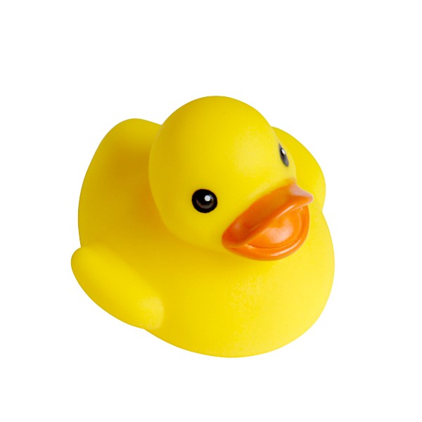 うきうきアヒル ネット