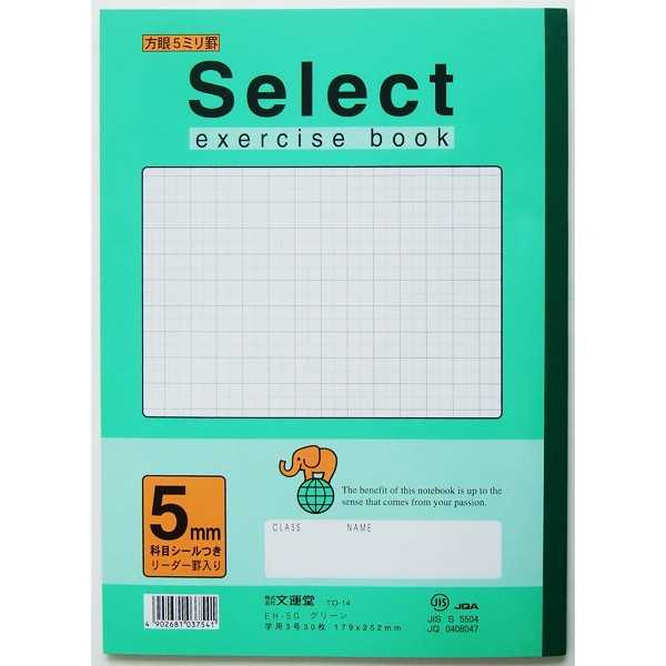 100円雑貨&日用品卸-BABABAの学習帳 EH-5G 方眼罫5mm グリーン (100円ショップ 100円均一 100均一 100均)｜アングル2