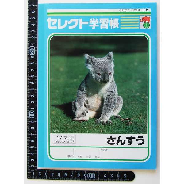 100円雑貨&日用品卸-BABABAの学習帳 K-2 さんすう 17マス 30枚 (100円ショップ 100円均一 100均一 100均)｜アングル3