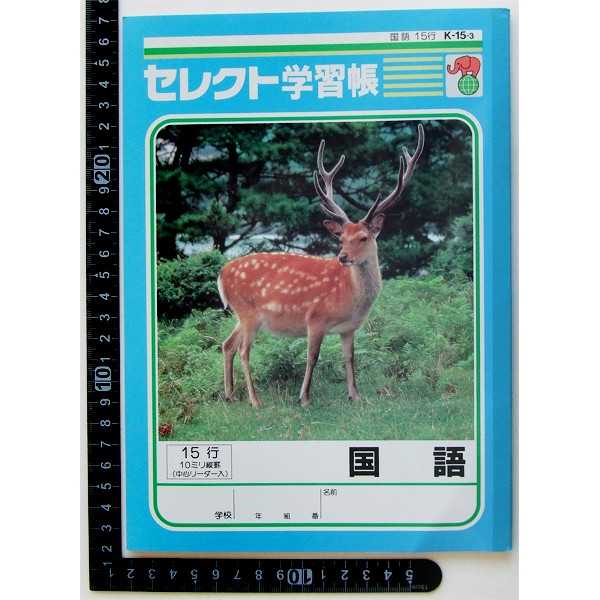 学習帳 K-15-3 国語 15行縦罫 30枚 (100円ショップ 100円均一 100均一 100均) 3