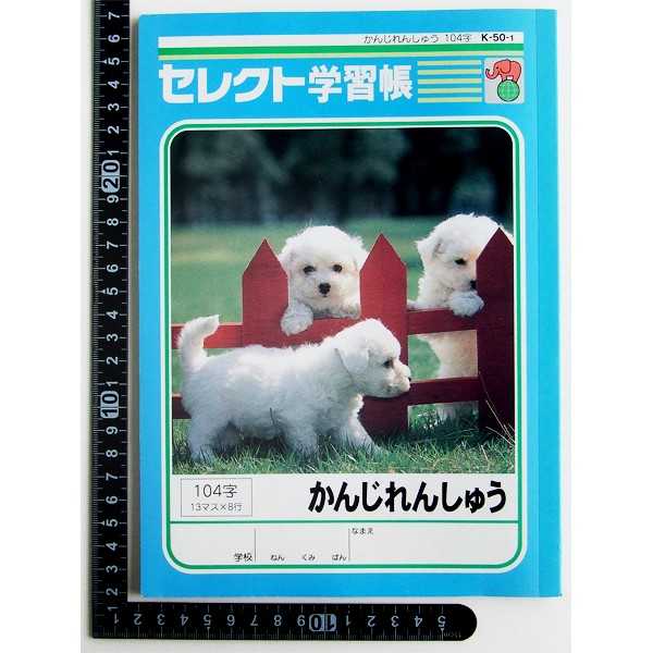 100円雑貨&日用品卸-BABABAの学習帳 K-50-1 かんじれんしゅう 104字 30枚 (100円ショップ 100円均一 100均一 100均)｜アングル3