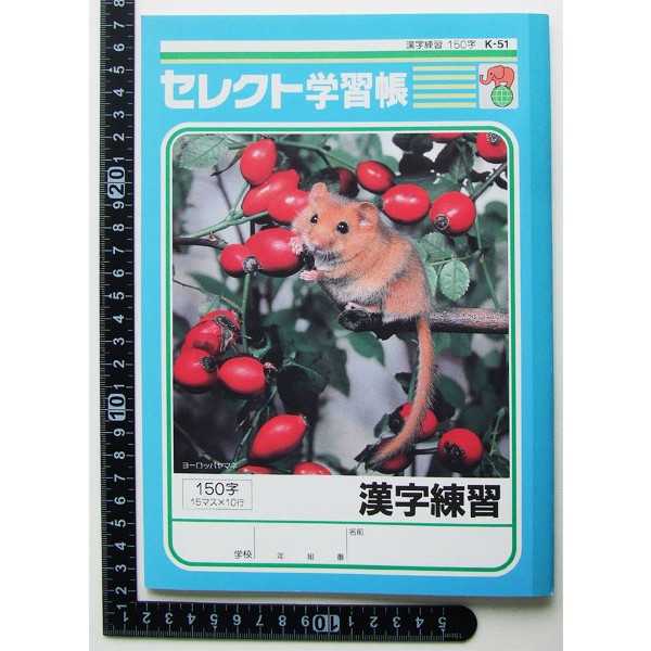 100円雑貨&日用品卸-BABABAの学習帳 K-51 漢字練習 150字 30枚 (100円ショップ 100円均一 100均一 100均)｜アングル3