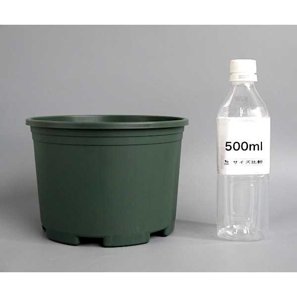 プラスチックプランター 丸型 大 直径20×14cm (100円ショップ 100円均一 100均一 100均)