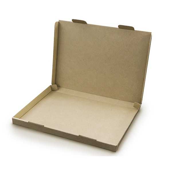 梱包用ダンボール A4 2枚入 (100円ショップ 100円均一 100均一 100均)